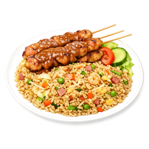Nasi schotel met kipsaté